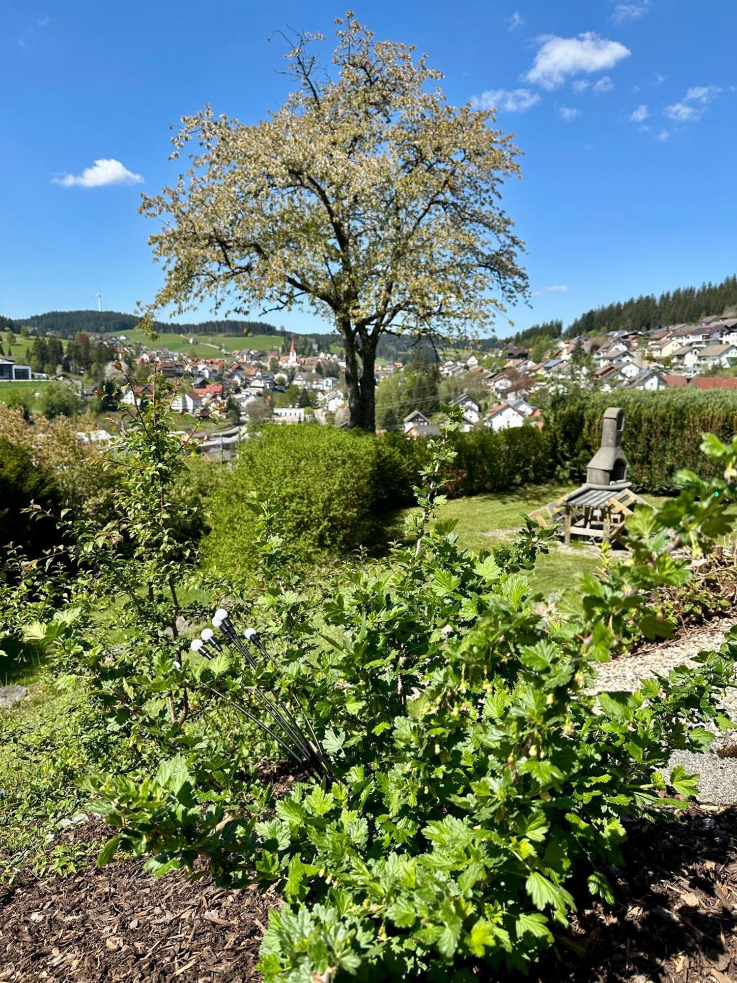 Апартаменты Sonneck Schonach Schonach im Schwarzwald Экстерьер фото